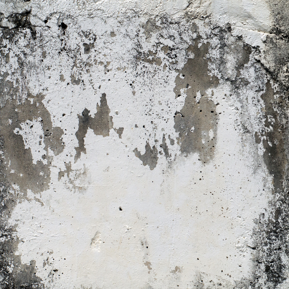damp walls